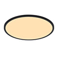 Oja 60 LED MoodMaker Ceiling Light