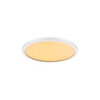 Oja 24 LED Ceiling Light, Warm White