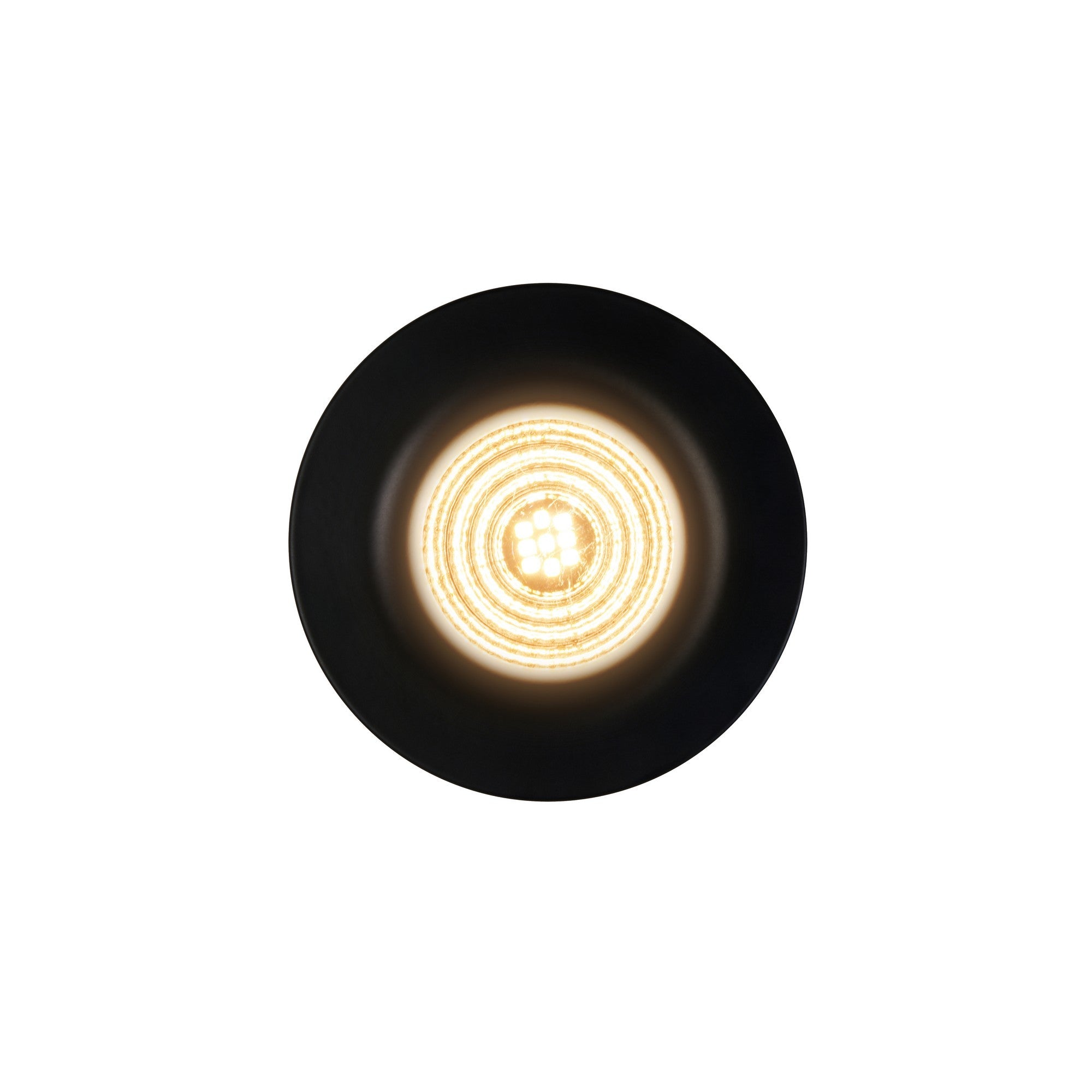 Stake LED Downlight