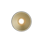 Torone Surface Mounted Downlight, Black/Brass