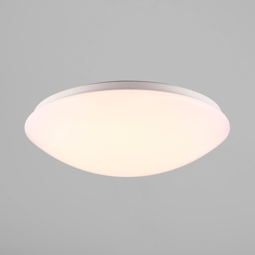 Ask 36 LED Bathroom Ceiling Light