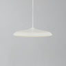 Artist 25 LED Pendant Light