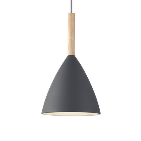 Pure 20 Pendant Light