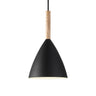 Pure 20 Pendant Light