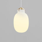 Raito 22 Oval Pendant Light