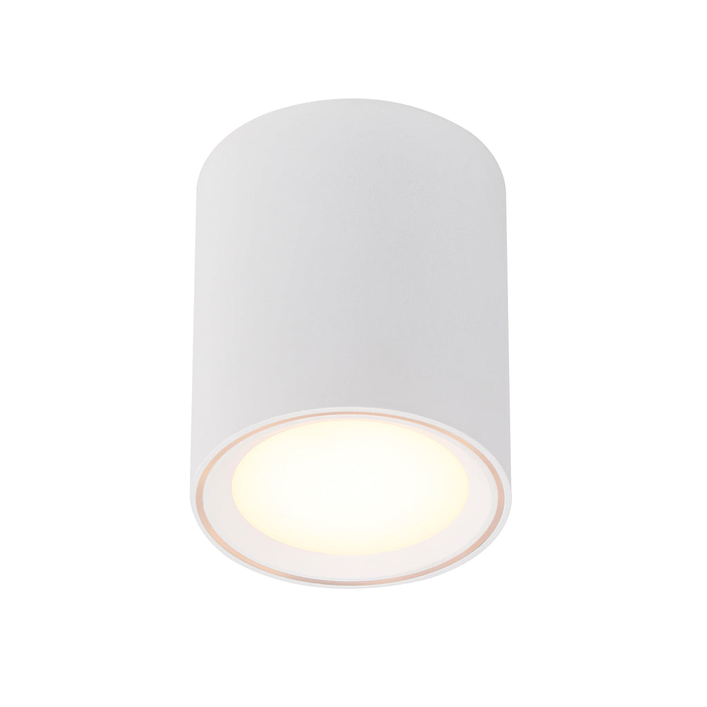 Fallon Long LED Downlight