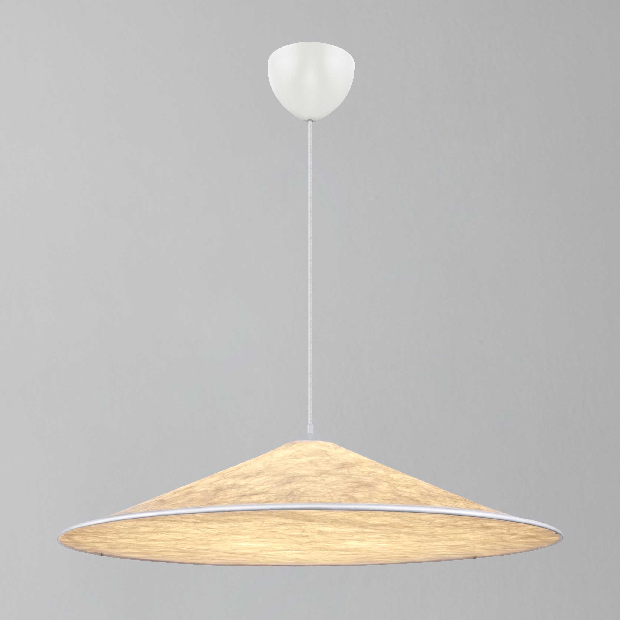 Hill 85 Pendant Light