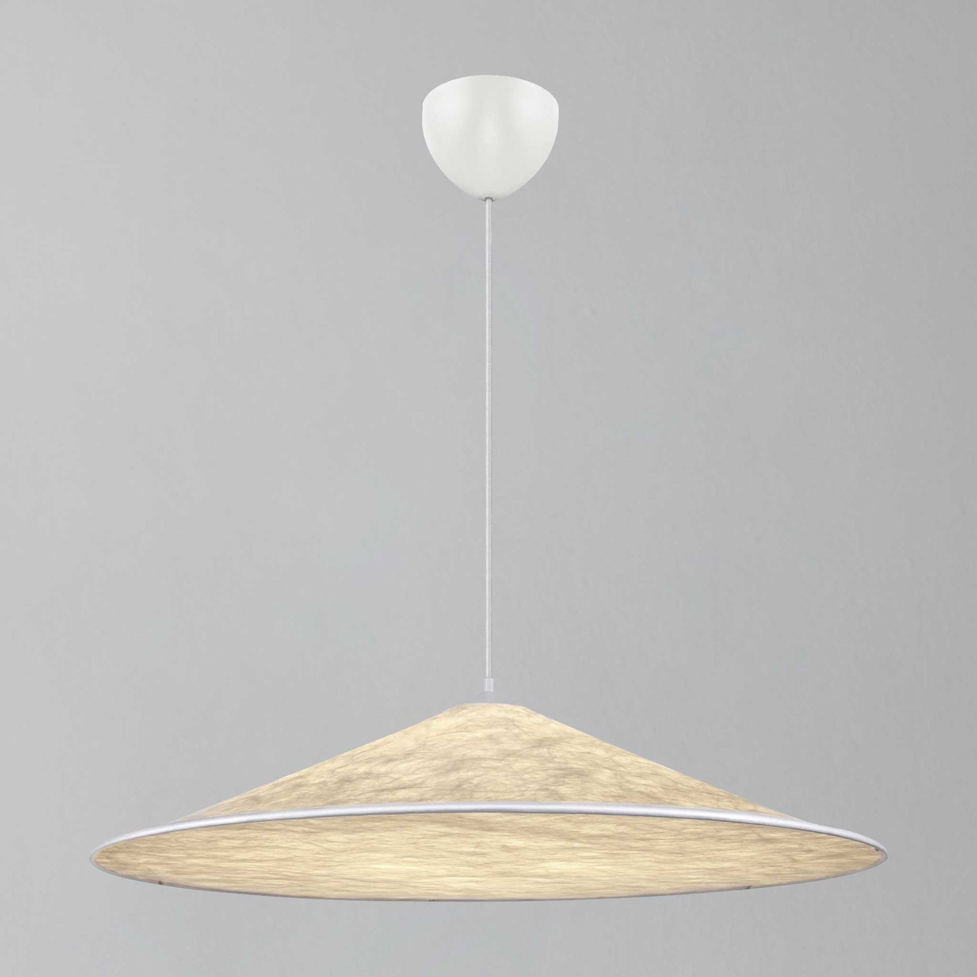 Hill 85 Pendant Light