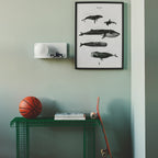 Lilibeth Shelf Wall Light