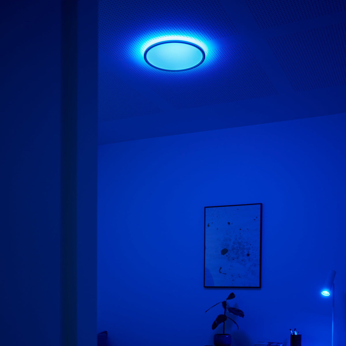Liva Smart RGB Colour Ceiling Light
