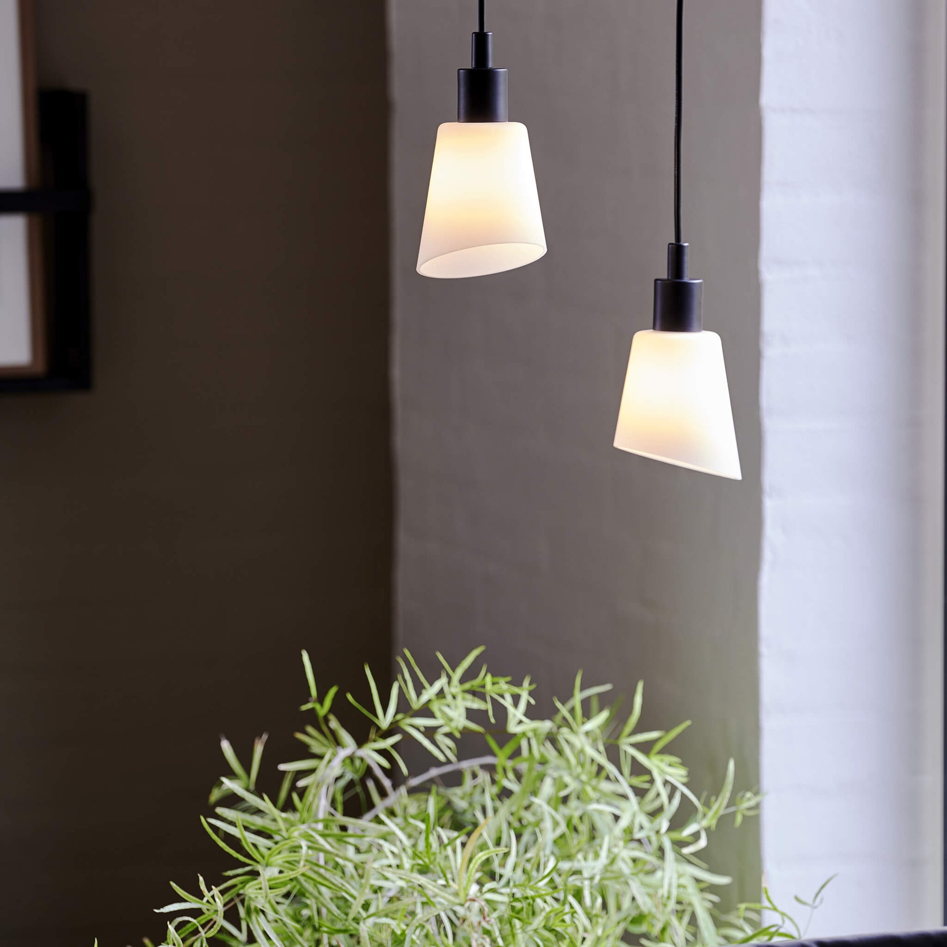Molli Pendant Light, Twin Pack