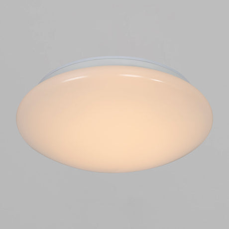 Montone 25 LED Ceiling Light