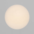 Montone 25 LED Ceiling Light