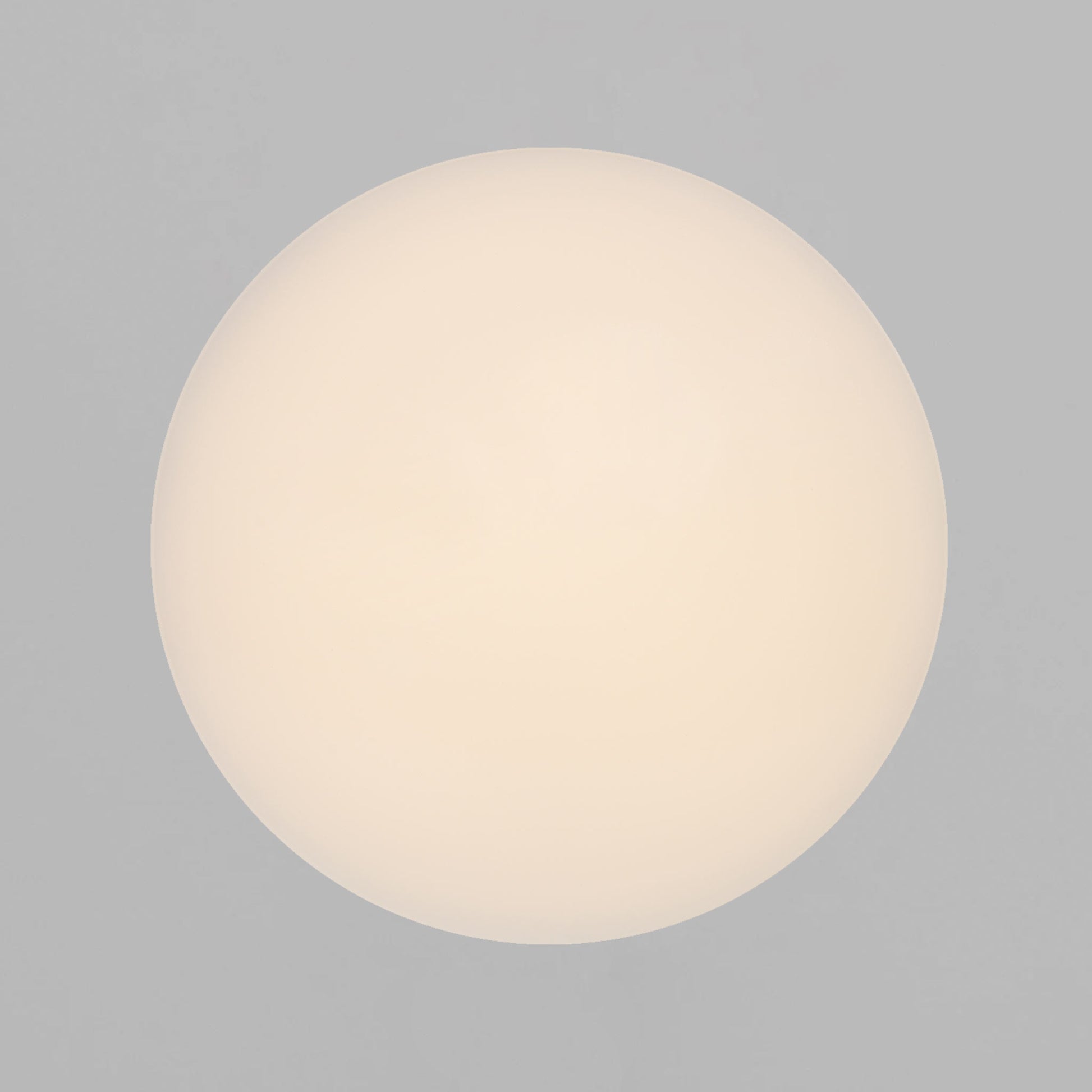 Montone 25 LED Ceiling Light