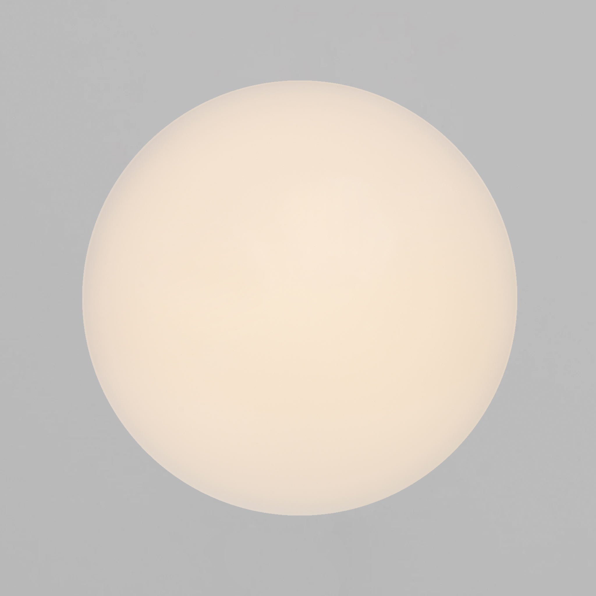Montone 25 LED Ceiling Light