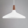 Nori 39 Pendant Light