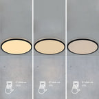Oja 60 LED MoodMaker Ceiling Light