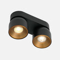 Pitcher 2 Spot Ceiling Light