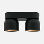 Pitcher 2 Spot Ceiling Light
