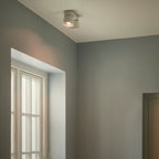 Pitcher 2 Spot Ceiling Light