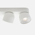 Pitcher 4 Spot Ceiling Light