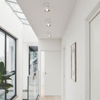 Pitcher Single Spot Ceiling Light