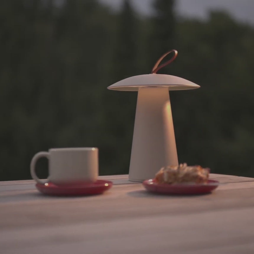 Ara To-Go 2 Rechargeable Table Lamp