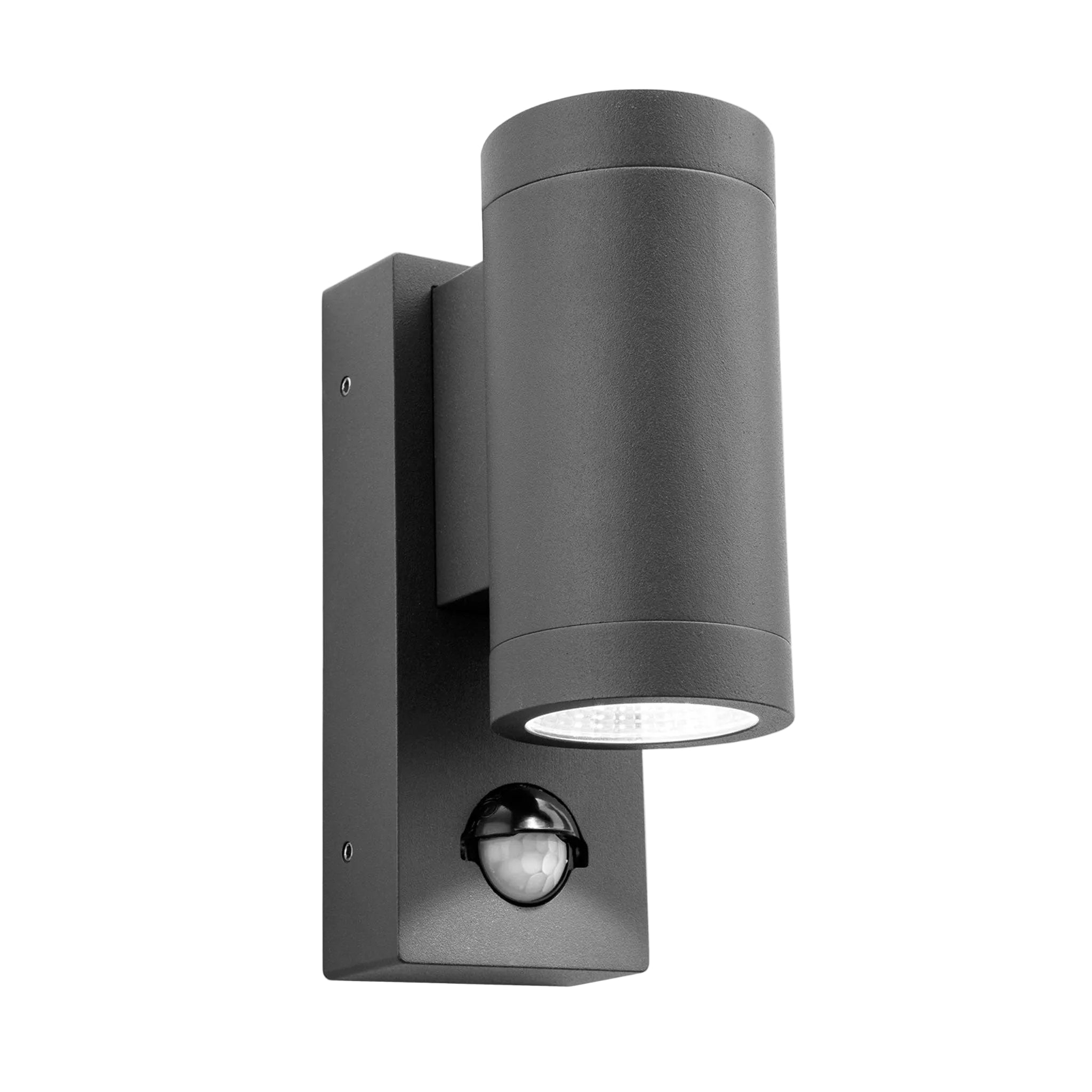 Riggs Up & Down LED PIR Wall Light