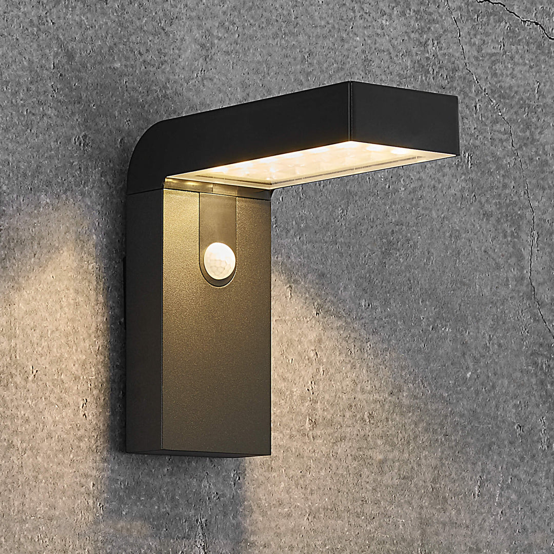 Alya LED Solar Outdoor Wall Light