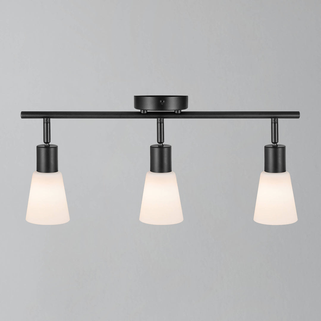 Cole 3 Light Ceiling Spotlight Bar Black