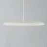 Artist 40 LED Pendant Light
