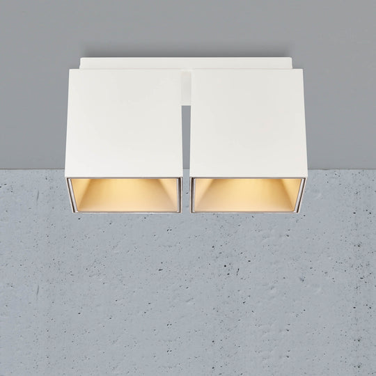 Ethan Square 2 Spot Surface Mount Downlight